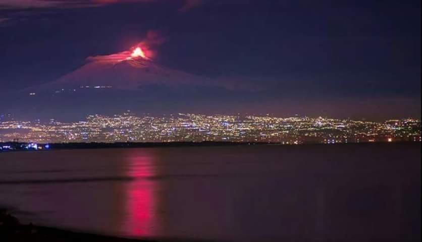 Great-Catania *